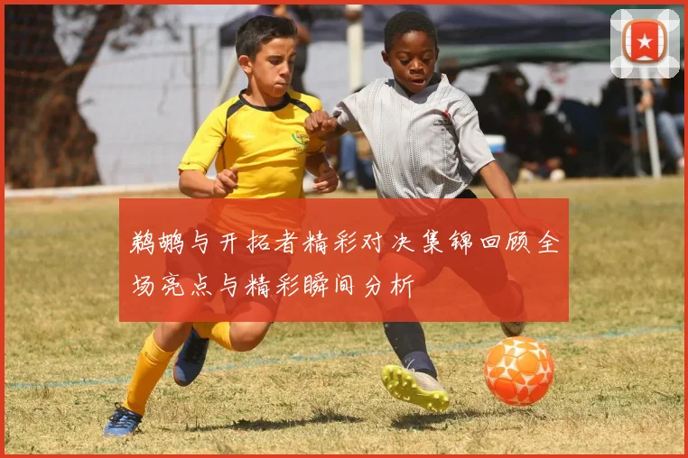 鹈鹕与开拓者精彩对决集锦回顾全场亮点与精彩瞬间分析