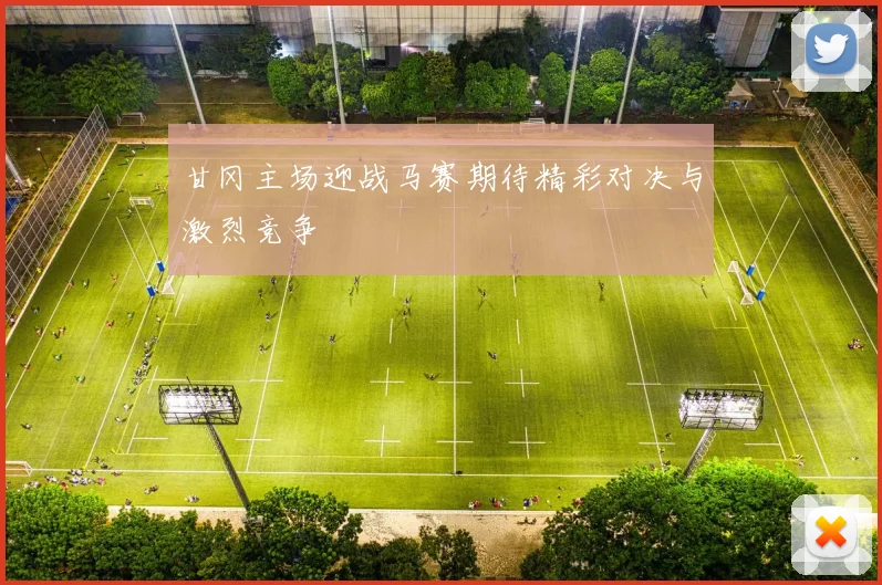 甘冈主场迎战马赛期待精彩对决与激烈竞争