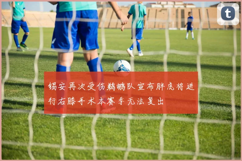 锡安再次受伤鹈鹕队宣布胖虎将进行右膝手术本赛季无法复出