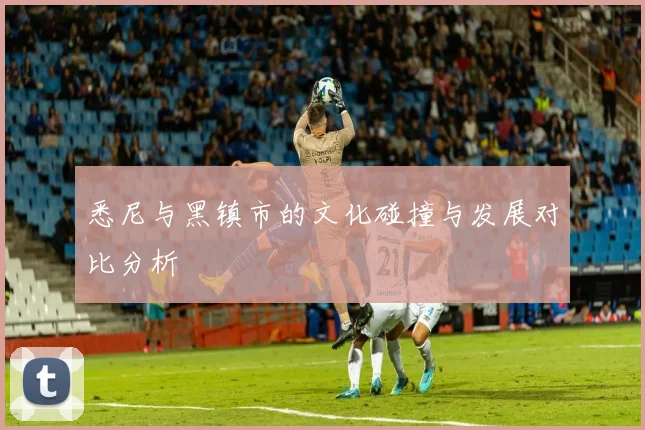 悉尼与黑镇市的文化碰撞与发展对比分析