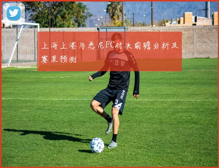 上海上港与悉尼FC对决前瞻分析及赛果预测