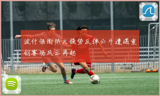波什领衔热火强势反弹公牛遭遇重创赛场风云再起
