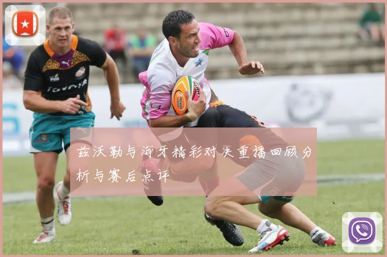 兹沃勒与海牙精彩对决重播回顾分析与赛后点评