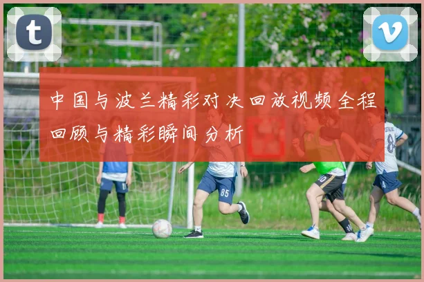 中国与波兰精彩对决回放视频全程回顾与精彩瞬间分析