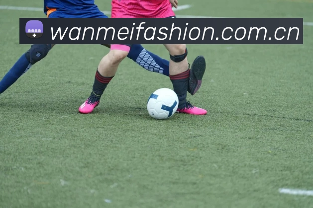 完美体育平台生态图